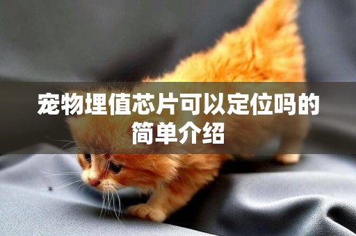 寵物埋值芯片可以定位嗎的簡單介紹