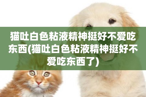 貓吐白色粘液精神挺好不愛吃東西(貓吐白色粘液精神挺好不愛吃東西了)
