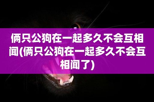 倆只公狗在一起多久不會互相聞(倆只公狗在一起多久不會互相聞了)