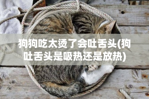 狗狗吃太燙了會吐舌頭(狗吐舌頭是吸熱還是放熱)