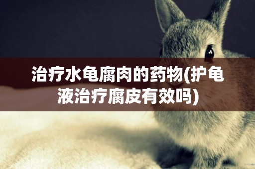 治療水龜腐肉的藥物(護龜液治療腐皮有效嗎)