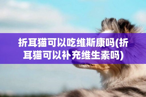 折耳貓可以吃維斯康嗎(折耳貓可以補充維生素嗎)