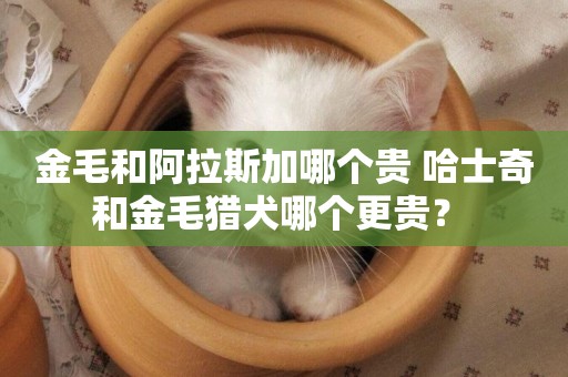 金毛和阿拉斯加哪個貴 哈士奇和金毛獵犬哪個更貴？ 