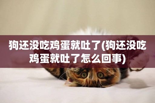 狗還沒吃雞蛋就吐了(狗還沒吃雞蛋就吐了怎么回事)