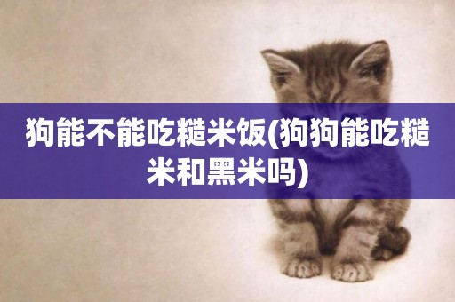 狗能不能吃糙米飯(狗狗能吃糙米和黑米嗎)