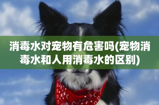消毒水對寵物有危害嗎(寵物消毒水和人用消毒水的區別)