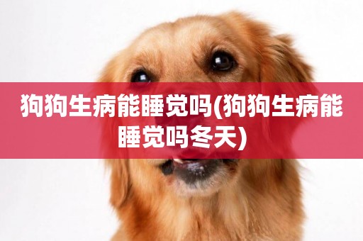 狗狗生病能睡覺嗎(狗狗生病能睡覺嗎冬天)