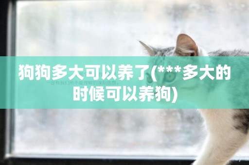 狗狗多大可以養了(***多大的時候可以養狗)