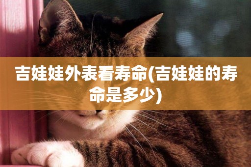 吉娃娃外表看壽命(吉娃娃的壽命是多少)