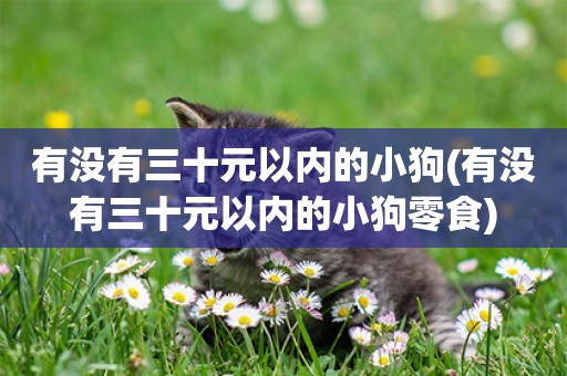 有沒有三十元以內的小狗(有沒有三十元以內的小狗零食)
