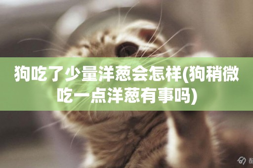 狗吃了少量洋蔥會怎樣(狗稍微吃一點洋蔥有事嗎)