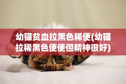 幼貓貧血拉黑色稀便(幼貓拉稀黑色便便但精神很好)