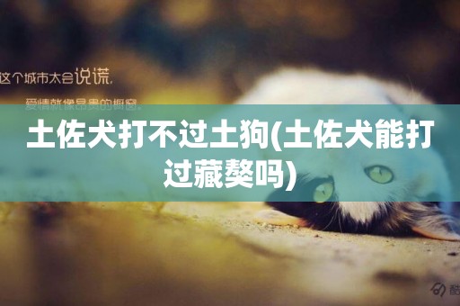 土佐犬打不過土狗(土佐犬能打過藏獒嗎)