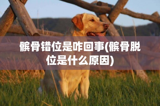 髕骨錯位是咋回事(髕骨脫位是什么原因)