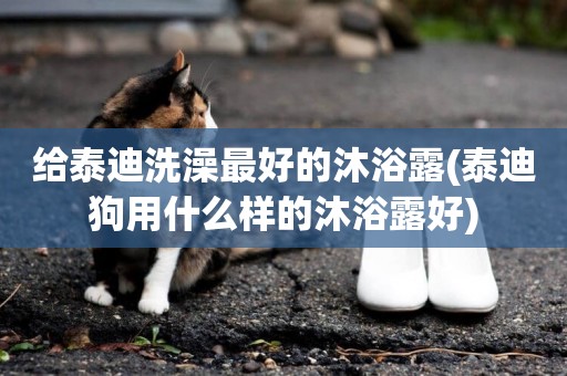 給泰迪洗澡最好的沐浴露(泰迪狗用什么樣的沐浴露好)