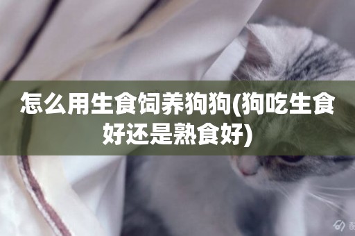 怎么用生食飼養狗狗(狗吃生食好還是熟食好)