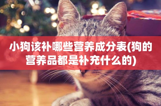 小狗該補哪些營養成分表(狗的營養品都是補充什么的)