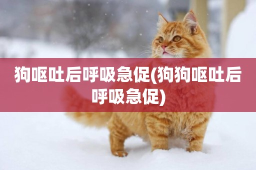 狗嘔吐后呼吸急促(狗狗嘔吐后呼吸急促)