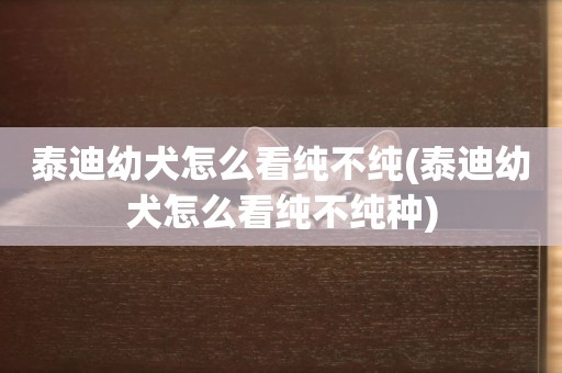 泰迪幼犬怎么看純不純(泰迪幼犬怎么看純不純種)