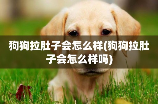 狗狗拉肚子會怎么樣(狗狗拉肚子會怎么樣嗎)
