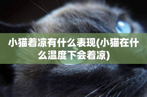 小貓著涼有什么表現(小貓在什么溫度下會著涼)