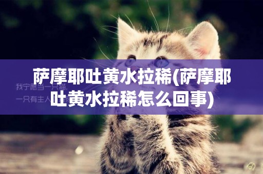 薩摩耶吐黃水拉稀(薩摩耶吐黃水拉稀怎么回事)