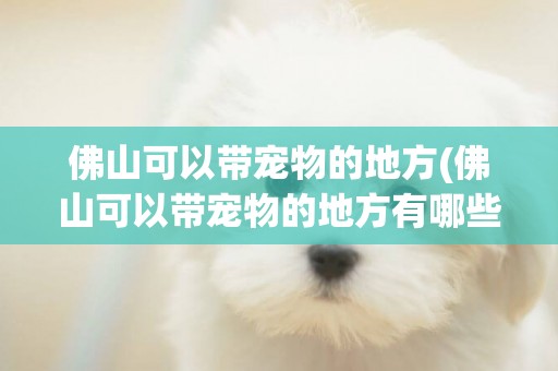 佛山可以帶寵物的地方(佛山可以帶寵物的地方有哪些)