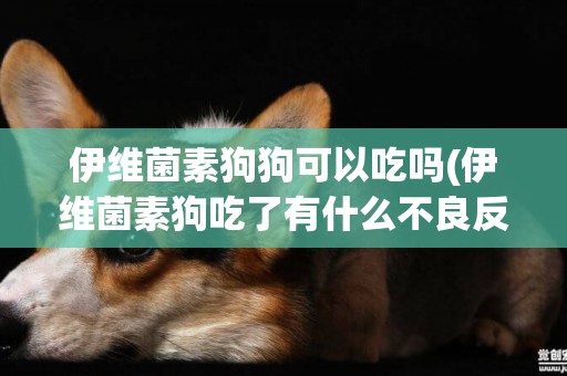 伊維菌素狗狗可以吃嗎(伊維菌素狗吃了有什么不良反應)