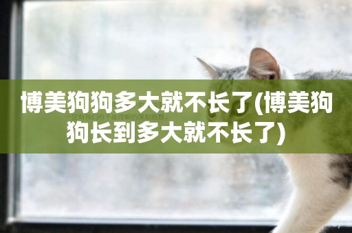 博美狗狗多大就不長了(博美狗狗長到多大就不長了)