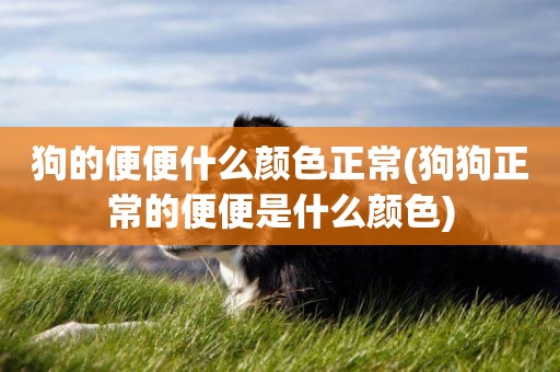 狗的便便什么顏色正常(狗狗正常的便便是什么顏色)