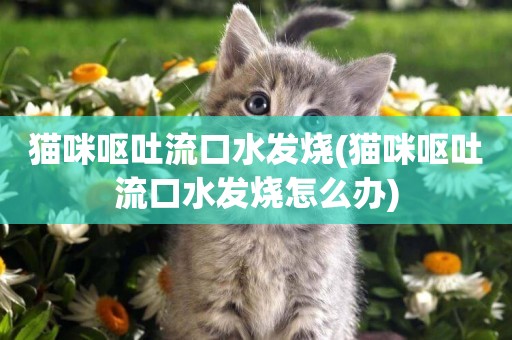 貓咪嘔吐流口水發燒(貓咪嘔吐流口水發燒怎么辦)