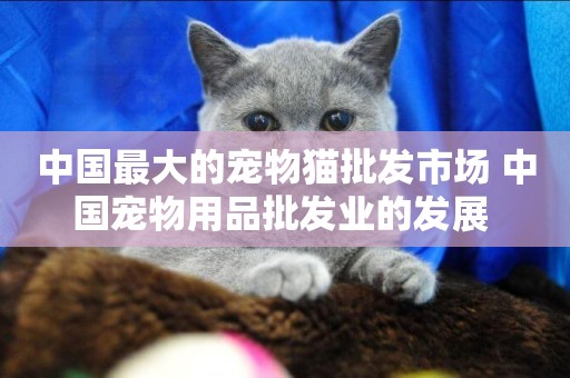 中國最大的寵物貓批發市場 中國寵物用品批發業的發展 