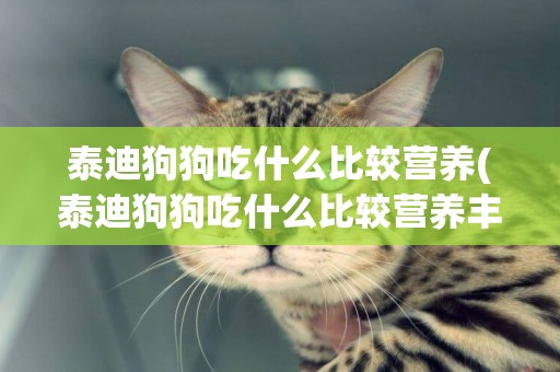 泰迪狗狗吃什么比較營養(泰迪狗狗吃什么比較營養豐富)