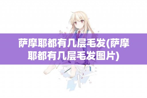 薩摩耶都有幾層毛發(薩摩耶都有幾層毛發圖片)