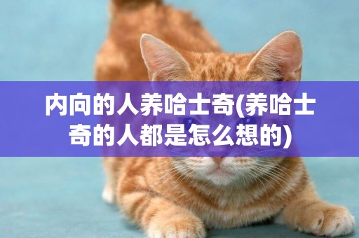 內向的人養哈士奇(養哈士奇的人都是怎么想的)