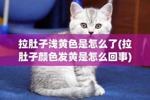 拉肚子淺黃色是怎么了(拉肚子顏色發黃是怎么回事)