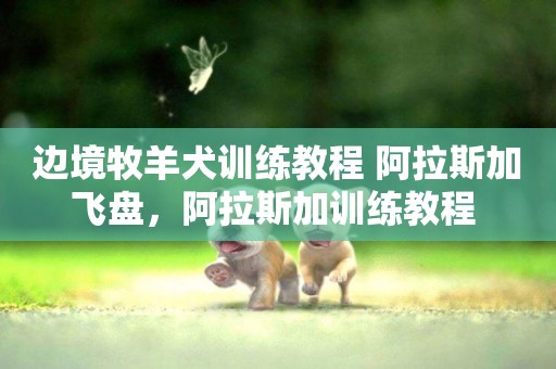 邊境牧羊犬訓練教程 阿拉斯加飛盤，阿拉斯加訓練教程 