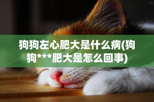 狗狗左心肥大是什么病(狗狗***肥大是怎么回事)