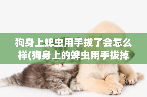 狗身上蜱蟲用手拔了會怎么樣(狗身上的蜱蟲用手拔掉了會怎么樣)