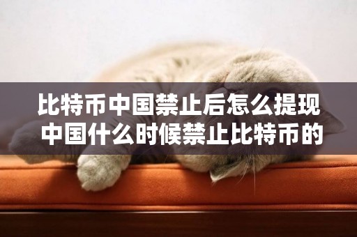 比特幣中國禁止后怎么提現 中國什么時候禁止比特幣的（比特幣從2013年開始被中國限制） 