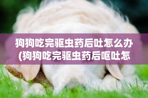 狗狗吃完驅蟲藥后吐怎么辦(狗狗吃完驅蟲藥后嘔吐怎么辦)