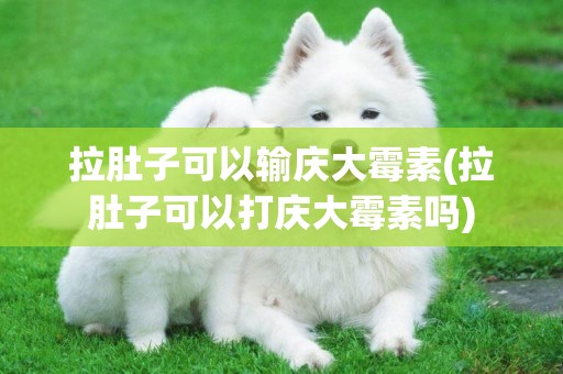 拉肚子可以輸慶大霉素(拉肚子可以打慶大霉素嗎)