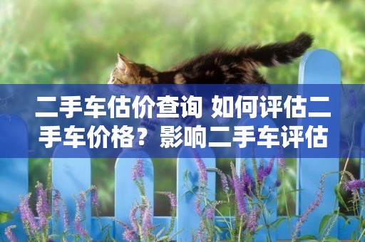 二手車估價查詢 如何評估二手車價格？影響二手車評估價格的5大因素 