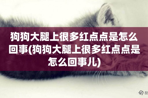 狗狗大腿上很多紅點點是怎么回事(狗狗大腿上很多紅點點是怎么回事兒)