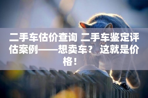 二手車估價查詢 二手車鑒定評估案例——想賣車？ 這就是價格！ 