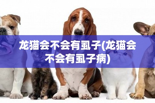 龍貓會不會有虱子(龍貓會不會有虱子病)