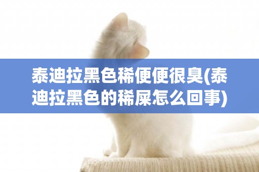 泰迪拉黑色稀便便很臭(泰迪拉黑色的稀屎怎么回事)