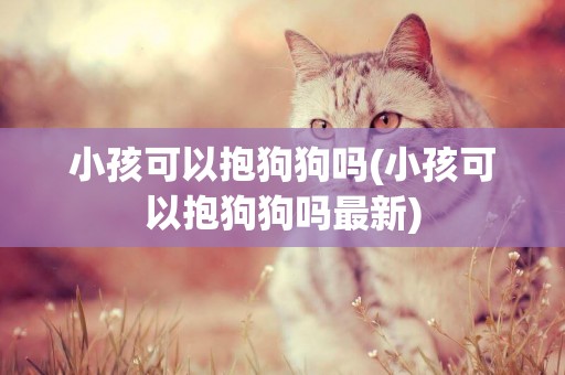 小孩可以抱狗狗嗎(小孩可以抱狗狗嗎最新)
