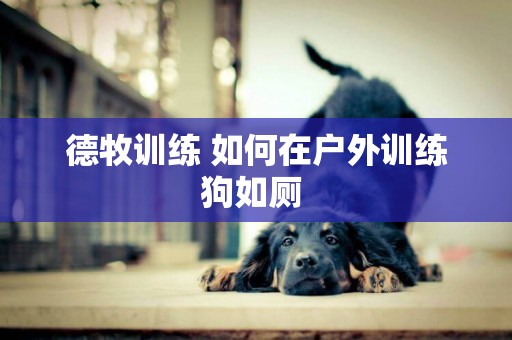 德牧訓練 如何在戶外訓練狗如廁 
