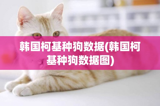 韓國柯基種狗數據(韓國柯基種狗數據圖)